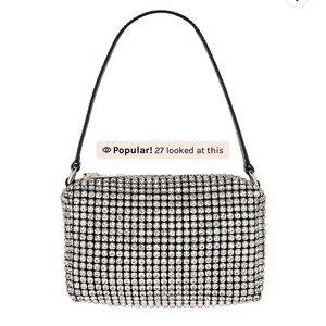 Alexander Wang mini Crystal bag
